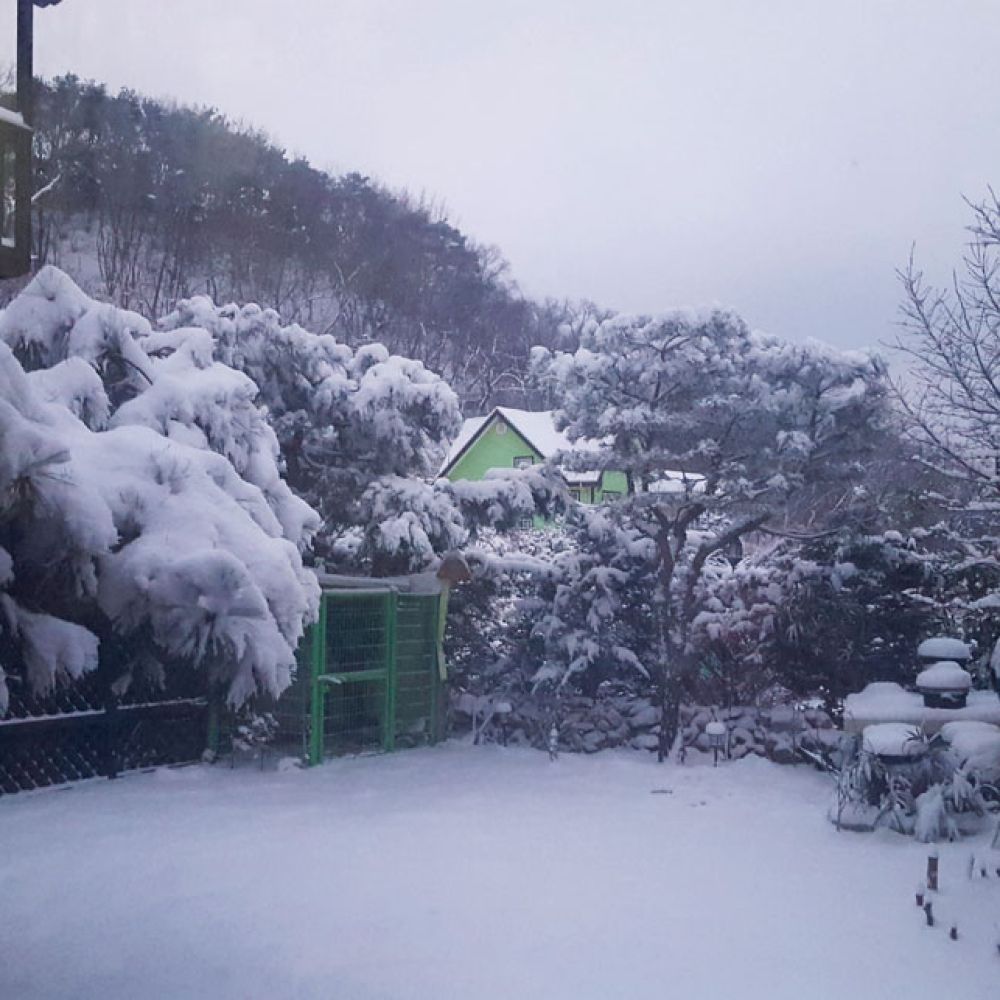 부대시설,기타